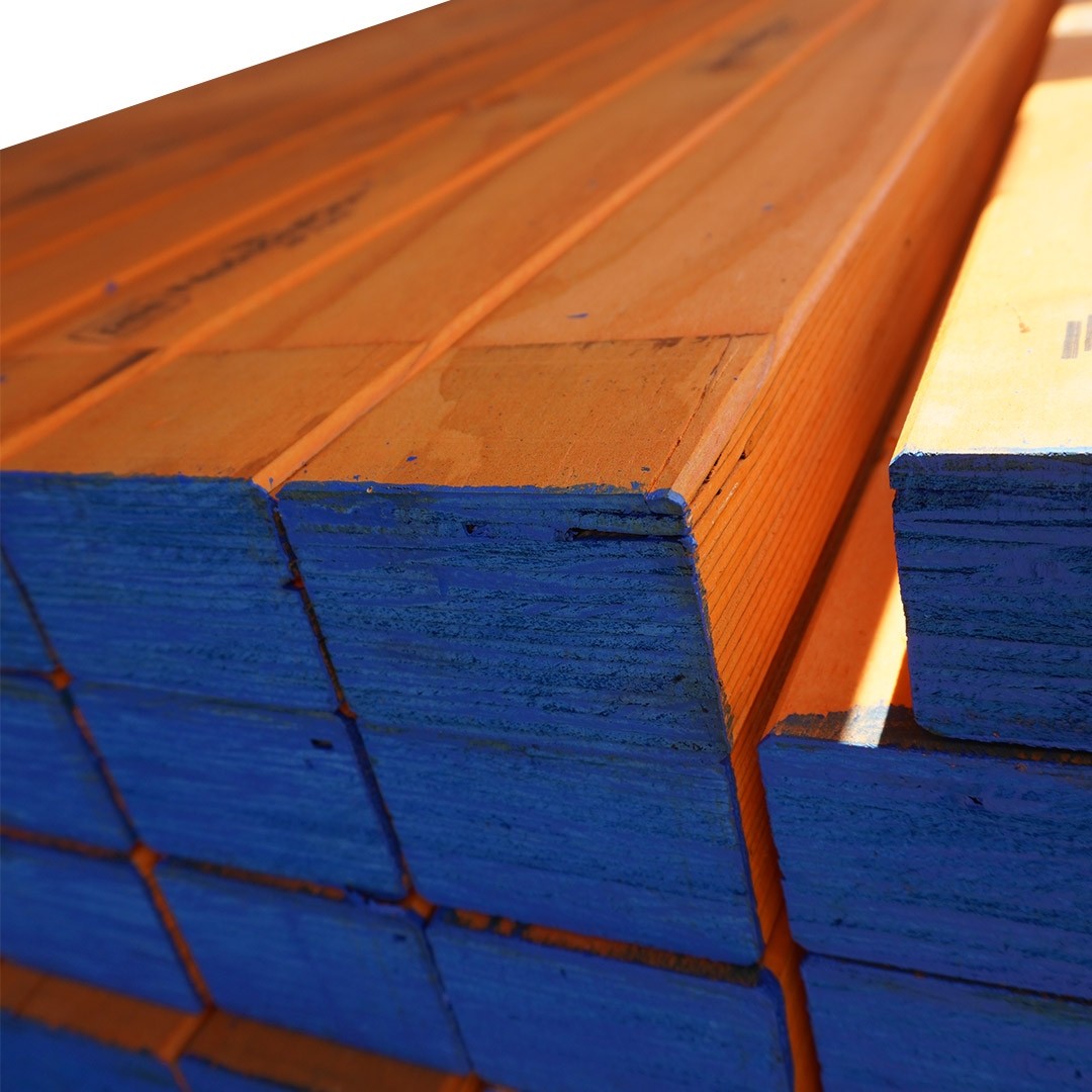 LVL Timber Formwork 95 × 65mm × 6m Blue End | Laminated Veneer Lumber Beam